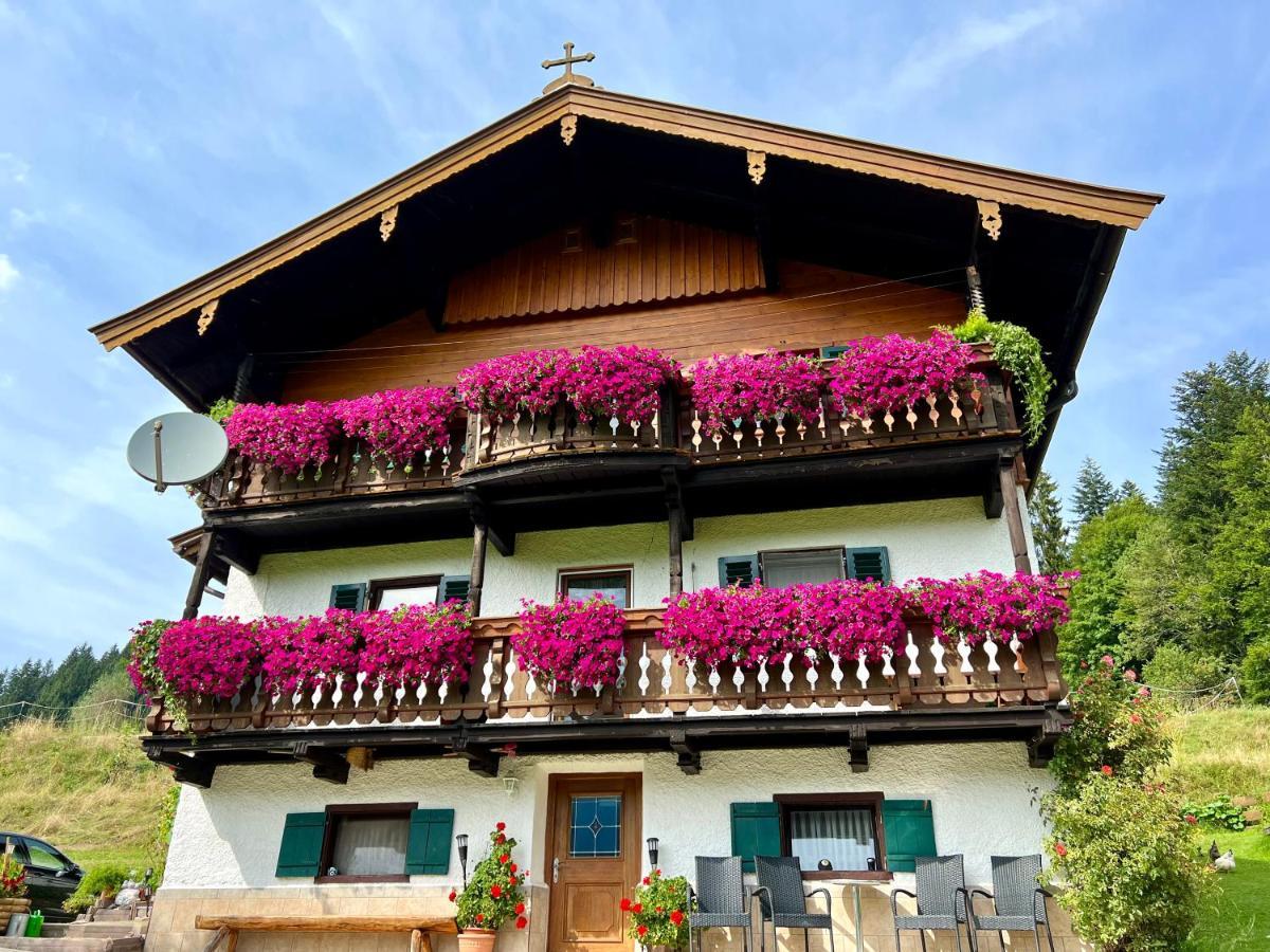 Appartement Sunnseit - Kitzbüheler Alpen St. Johann in Tirol Exterior foto